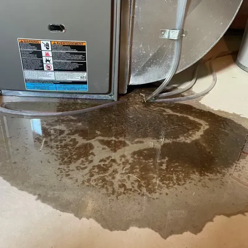 Appliance Leak Cleanup in Heyworth, IL